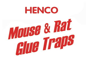 義烏市綠亞日用品廠 打造優(yōu)質(zhì)日用品百貨的可靠供應(yīng)商